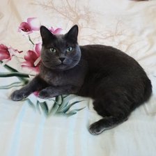 Мадам 12.07.2018