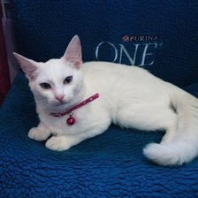 Схема вышивки «Снежинка ❄ 12.07.2018»