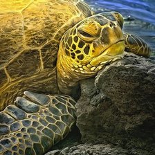 Схема вышивки «№1743196»