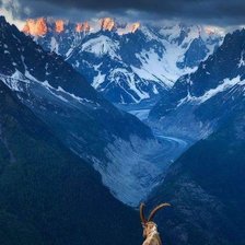 Схема вышивки «es saqartveloa jixvta qveyana»