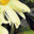 Предпросмотр схемы вышивки «натюрморт» (№1743318)