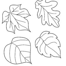 Схема вышивки «ЛИСТЬЯ»