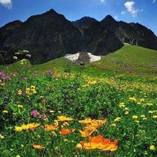 Схема вышивки «ravha-saqartvelo»