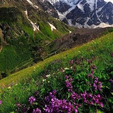 Схема вышивки «es saqartveloa»