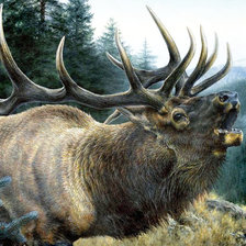 Схема вышивки «Олень»