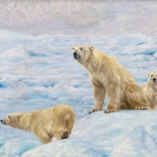 Схема вышивки «Белые медведи»