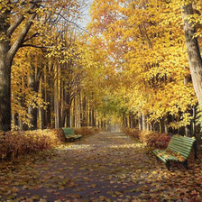 Схема вышивки «осенний парк»