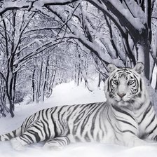 Схема вышивки «№1743808»