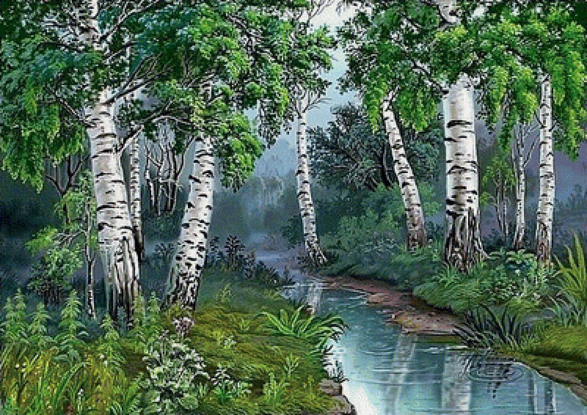 Берёзки - лес природа, пейзаж - предпросмотр