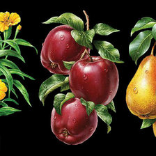 Схема вышивки «Фрукты»