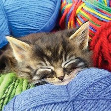 Схема вышивки «котёнок»