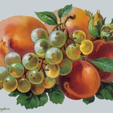 Схема вышивки «натюрморт»