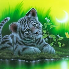 мир животных