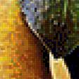 Предпросмотр схемы вышивки «Натюрморт с грушей.» (№1744870)