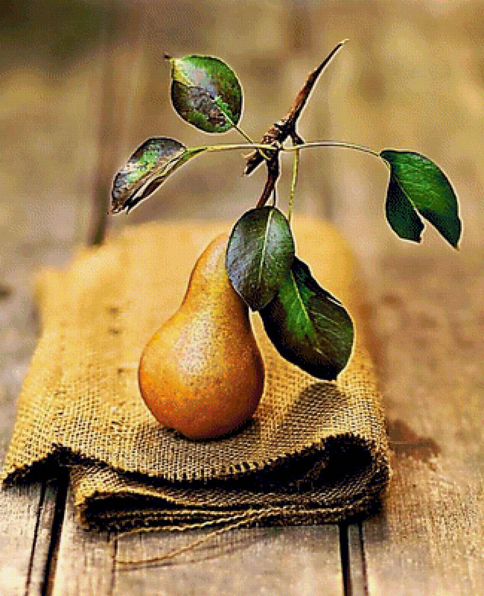 Натюрморт с грушей. - груша. натюрморт. живопись. - предпросмотр