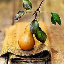 Схема вышивки «Натюрморт с грушей.»