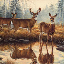 Схема вышивки «Олени»