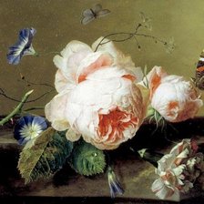 Ян ван Хейсум