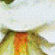 Предпросмотр схемы вышивки «Натюрморт.» (№1745187)