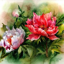 Схема вышивки «Цветы.»