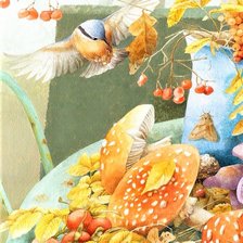 Схема вышивки «Toadstools»