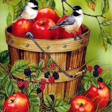 Схема вышивки «яблочки»