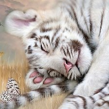 Схема вышивки «мир животных»