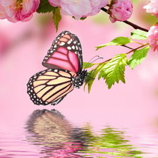 Схема вышивки «полет над озером заката»