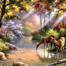 Схема вышивки «Creek 2»