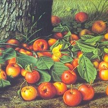 Схема вышивки «Яблочки»