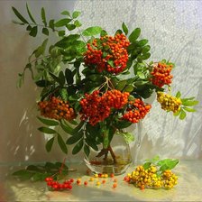 Схема вышивки «РЯБИНА»