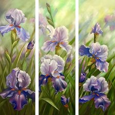 Схема вышивки «№1747415»