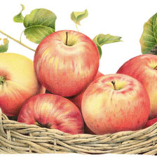 Схема вышивки «Яблоки в корзине»