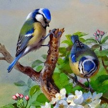 Схема вышивки «№1747516»