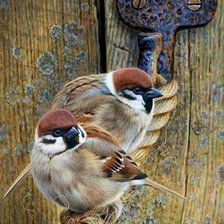 Схема вышивки «№1748020»