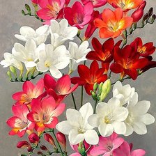 Схема вышивки «цветы»