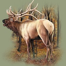 Схема вышивки «Олень»