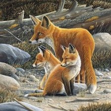 Схема вышивки «Рыжая семейка»