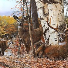 Схема вышивки «Олени.»