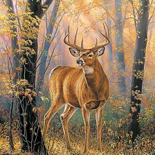 Схема вышивки «Олень.»