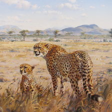 Схема вышивки «Гепарды»