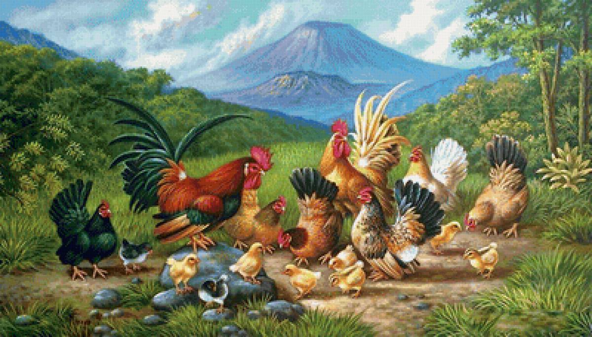 Семейка - цыплята, горы, курочки, петух - предпросмотр