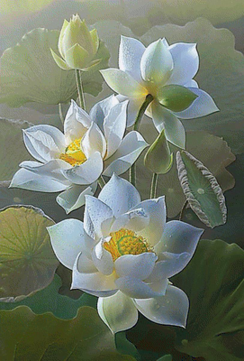 Лотосы. - лотосы, цветы, живопись. - предпросмотр