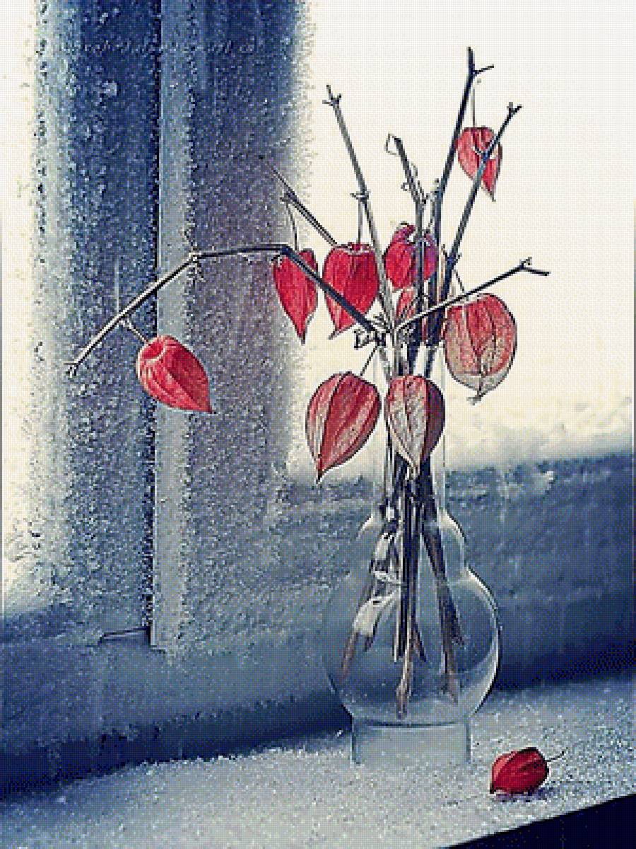 Зимний натюрморт. - живопись., физалис, натюрморт - предпросмотр