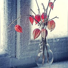 Схема вышивки «Зимний натюрморт.»