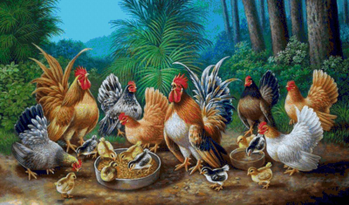 Семейка - цыплята, петух, курочки - предпросмотр