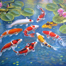 Схема вышивки «9 карпов»