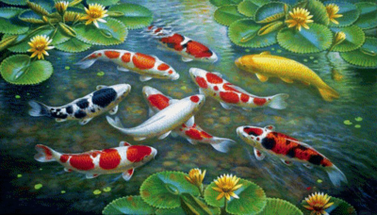 9 карпов - рыбы, карпы, вода, лотос - предпросмотр