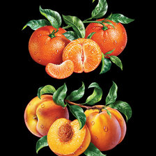 Схема вышивки «Мандарины и персики»