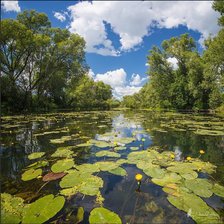Схема вышивки «природа»